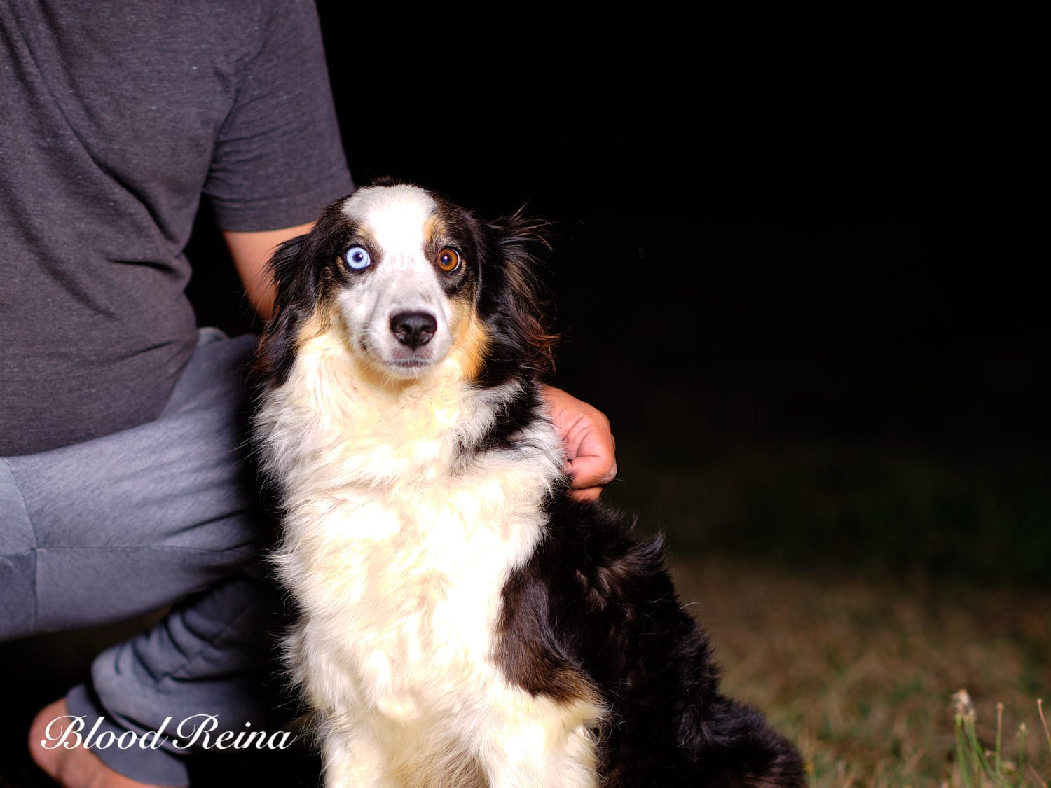 JAZZ (S'Jazz Of Bloodreina) — BAM Bloodreina