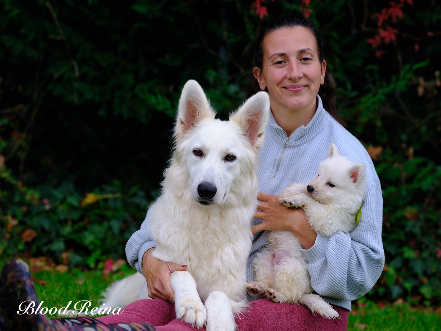 MASCHA (Ultime Legende Of Bloodreina) — BBS Bloodreina